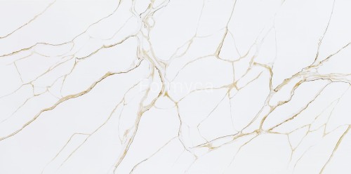 Calacatta Gold Oro.jpg