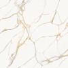 Calacatta Gold Oro 3 508 2.jpg