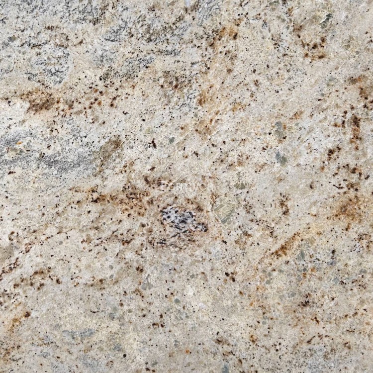 Colonial Gold 3 cm 1.jpg