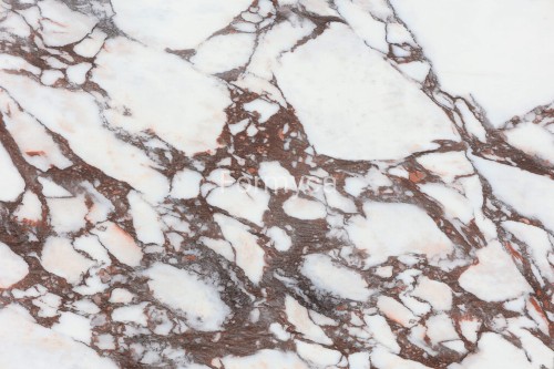 Calacatta Viola 1,2 cm 2.jpg