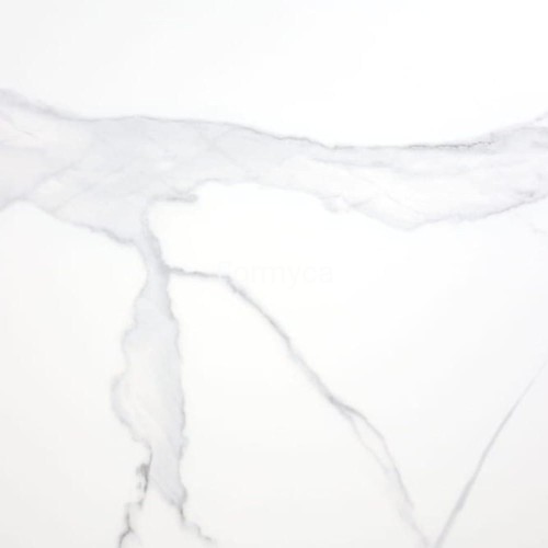 Statuario łazienkowy 1.jpg